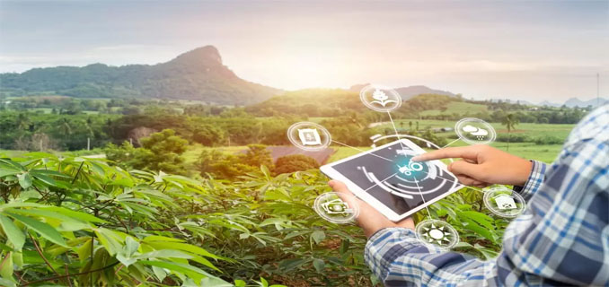 Peran Digital dalam Meningkatkan Sektor Pertanian di Indonesia